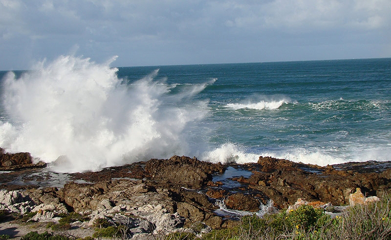hermanus5.jpg - The seas were rough which caused us to miss our shark dive