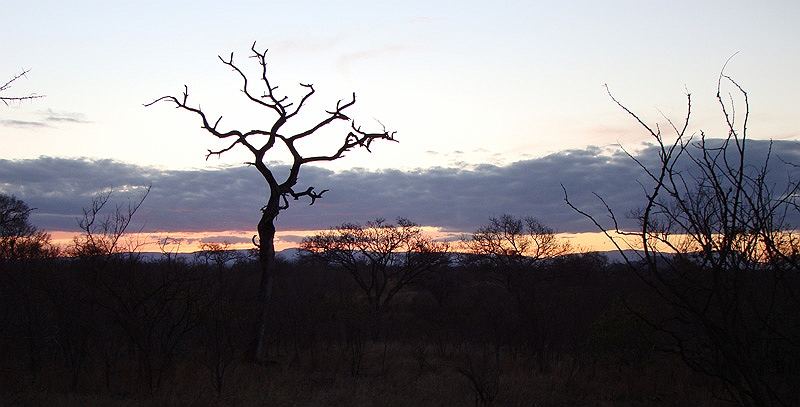 lhsundowners3.jpg - Our first sunset in the bush.