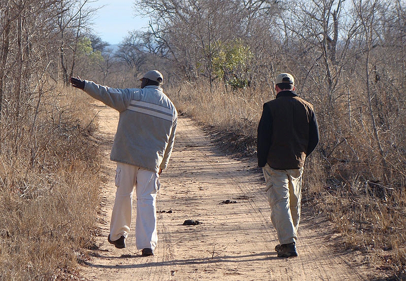 lhtrack1.jpg - Ronald and Gary are trying to track a leopard.