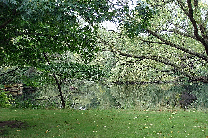 buckingham3.jpg - The lake behind Buckingham Palace