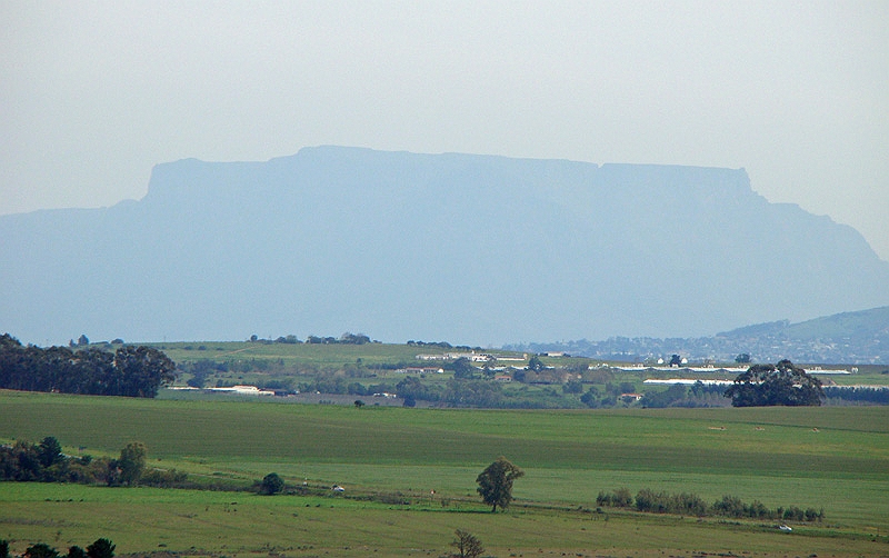 wine5.jpg - Table Mountain as seen from Stellenbosch.